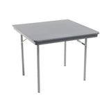 AmTab SQ30DL