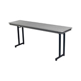 AmTab TT246DL