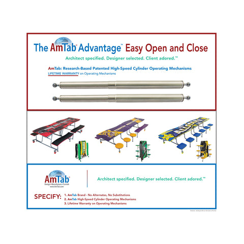 AmTab MTE1046